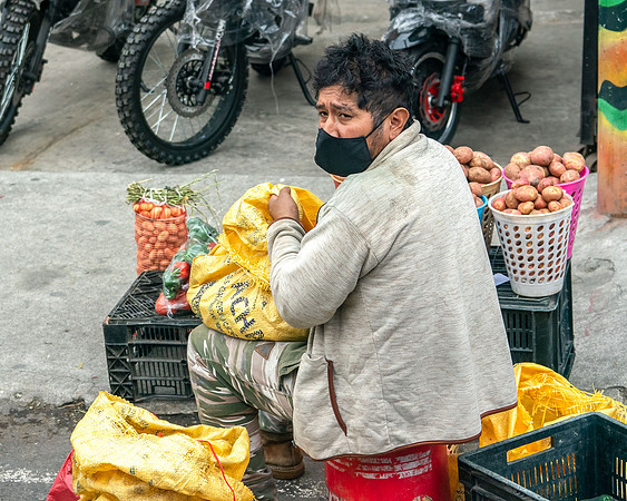 Potatoes for Sale