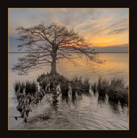 Currituck Sound Sunset