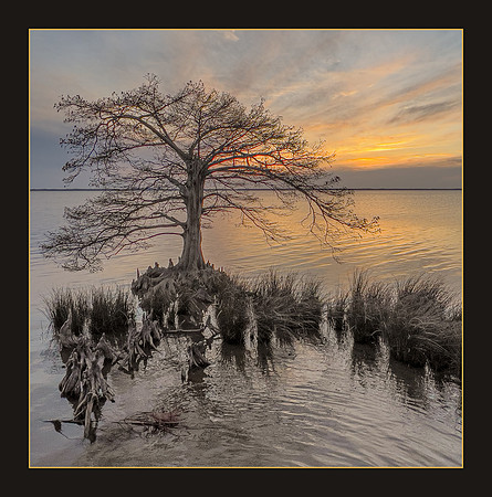 Currituck Sound Sunset