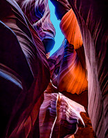 Creature from the Slot Canyon