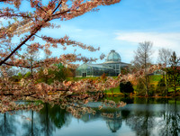 Lewis Ginter