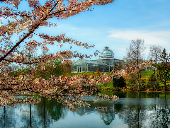 Lewis Ginter