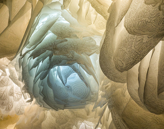 Vortex