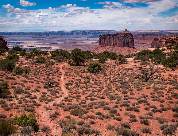 Canyonlands Trail