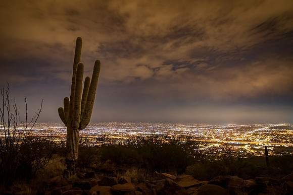 Evening on Tumamoc Hill