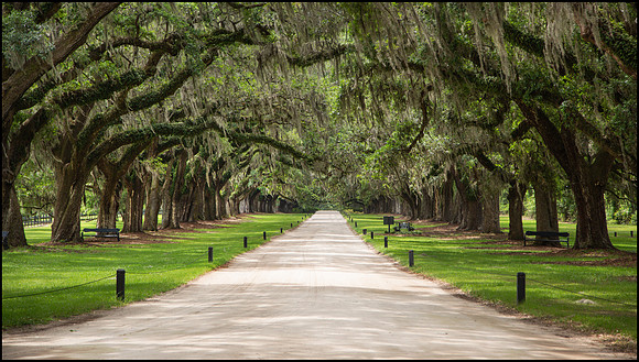 A Road Less Traveled
