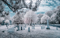 a walk among the tombstones