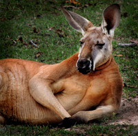 Chillin