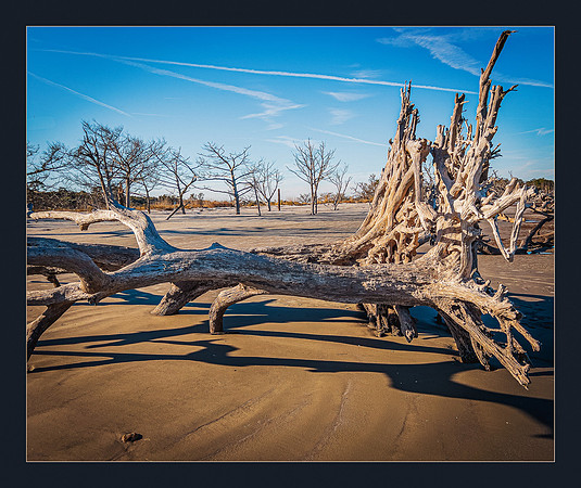Abandoned on the Beach