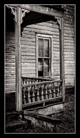 Good Bones