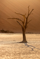 Deadvlei lonliness