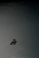 Island in Lake