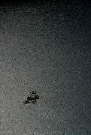 Island in Lake