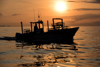 Gone Crabbin