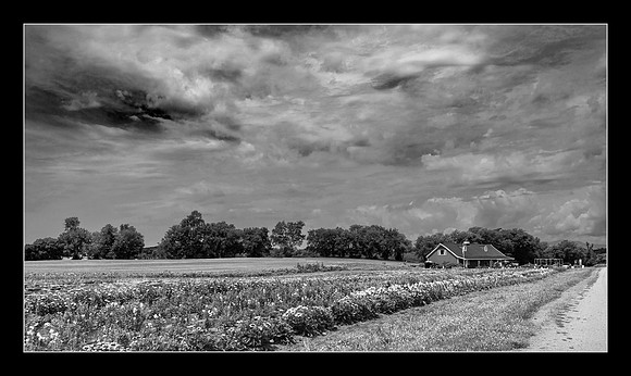 Farm and Firmament