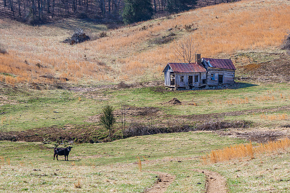 Farmstead