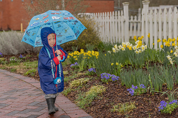 Singing in the Rain