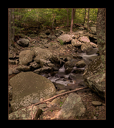 Trailside