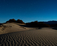 Desert Moonlight