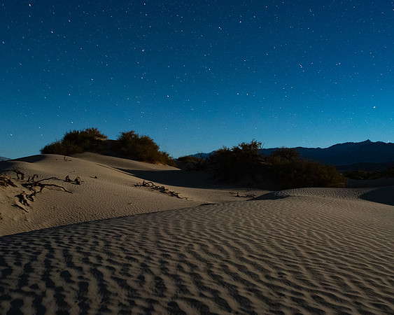 Desert Moonlight