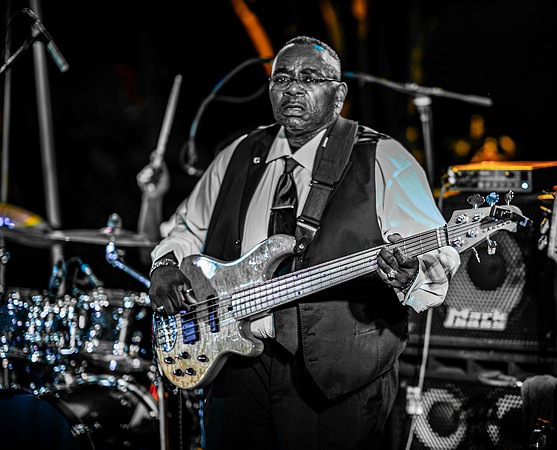The Bassist