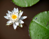 2022_06 Evaluation