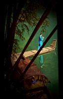 Boy In Blue