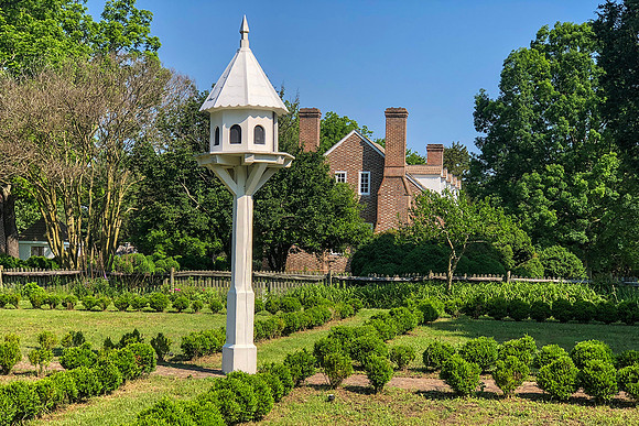 George Washington's Garden