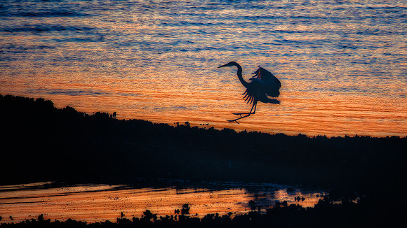 Sunrise Landing