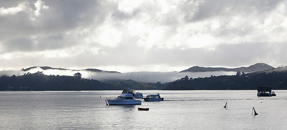 Morning in the Bay of Islands