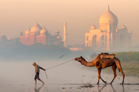 Morning Crossing