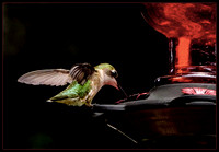 Dinner Time