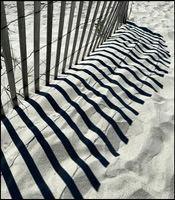 Beach Fence