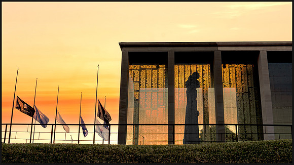 A Shadow's Silent Salute