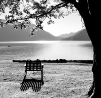 Lake Crescent Serenity