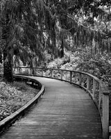Boardwalk #7