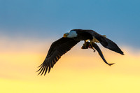 Breakfast at Sunrise