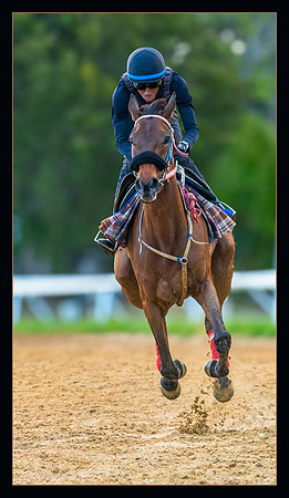 Final Sprint