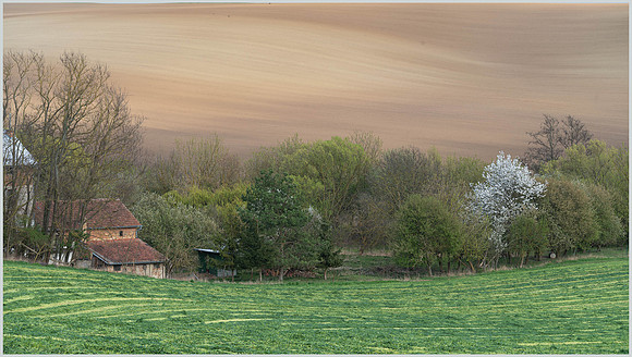 Near the fallow field