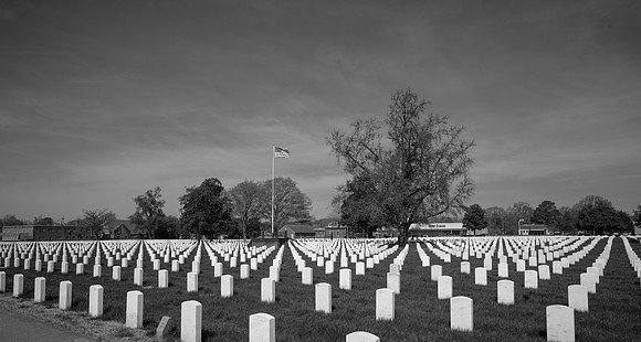 The Fallen