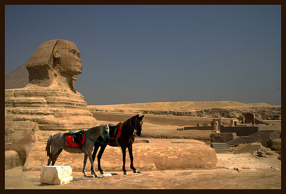 Sphinx Visitors