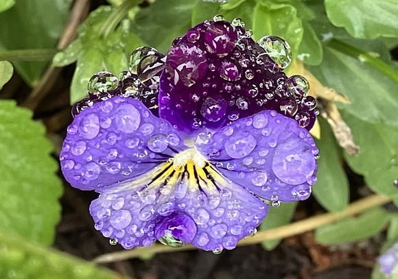 After the Rain