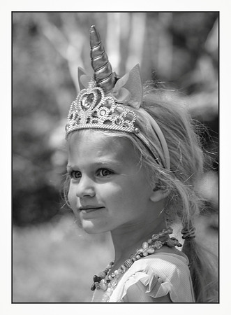 A Bold Unicorn Princess