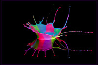 Carnival Paint Splash