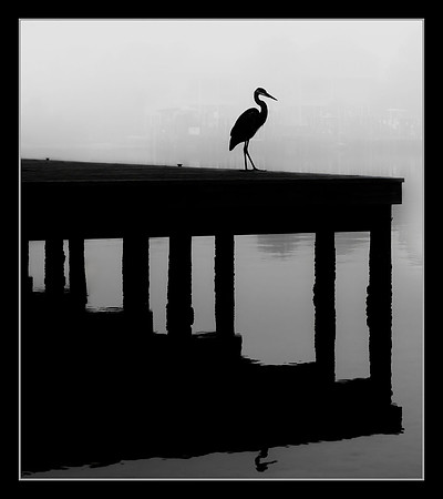 Elegance in Silhouette