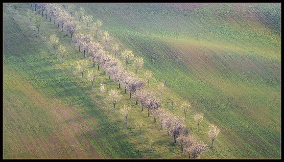 Soft Spring