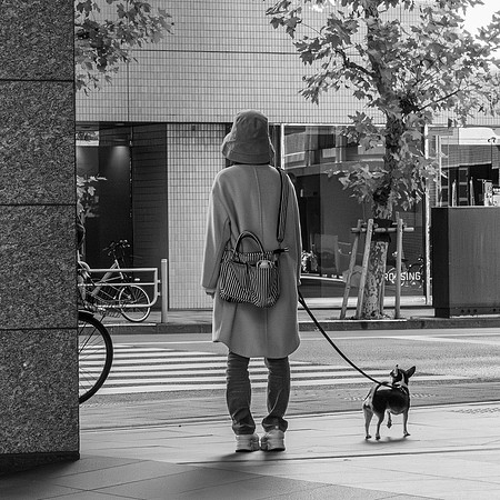 Waiting to cross