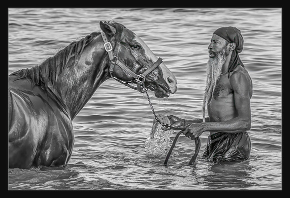 Horse and Trainer