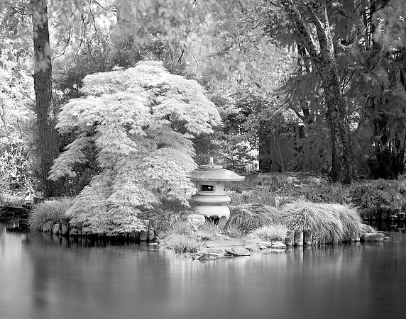 Serene