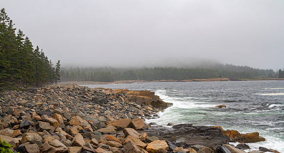 Rainy Maine Coastline